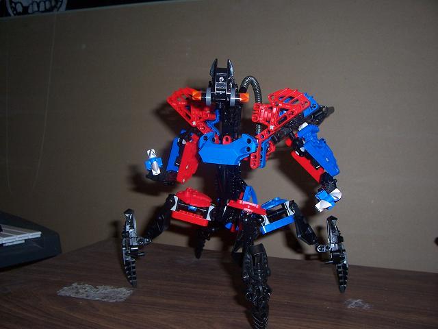 spider_02.jpg
