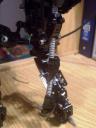 makuta_tail.jpg