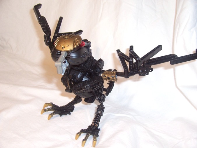 kahu_5.jpg