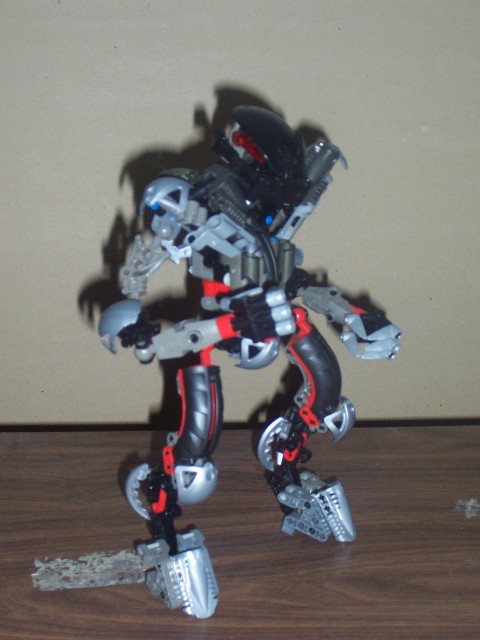 mol_makuta_1.jpg