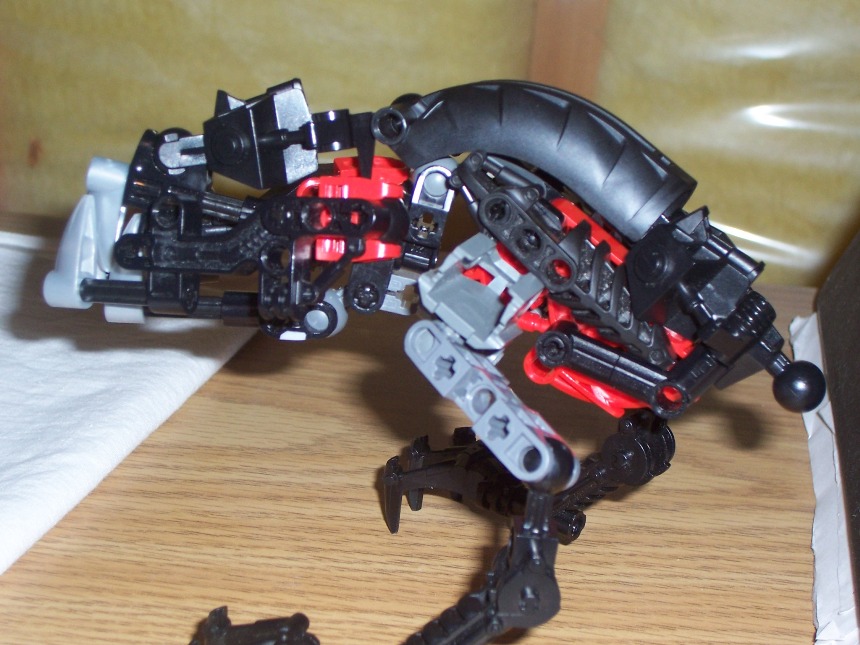100_1171.jpg