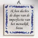 ikbenslechtsdedupevandeimperfectievanhetmenselijkbrein.jpg