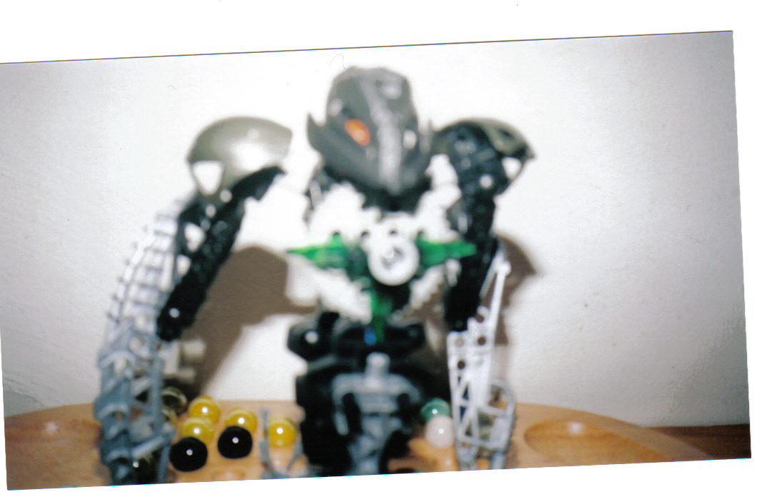 makuta_form2.jpg