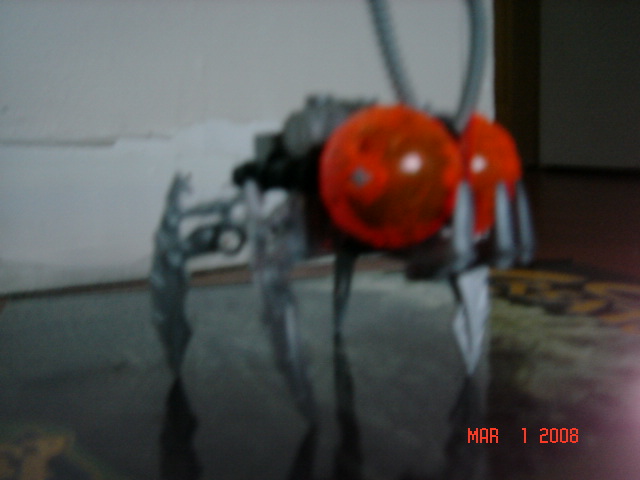 my_bionicle_001.jpg
