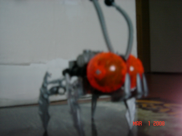 my_bionicle_002.jpg
