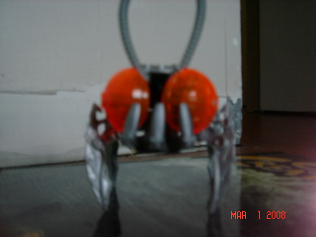 my_bionicle_003.jpg