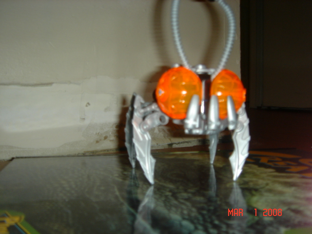 my_bionicle_006.jpg