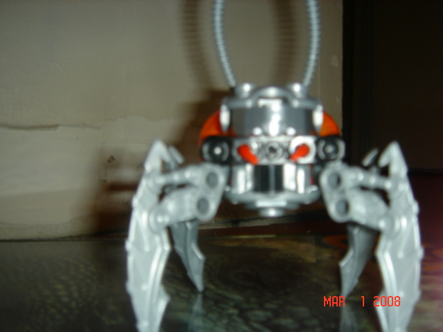 my_bionicle_010.jpg