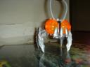 my_bionicle_006.jpg