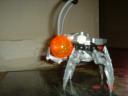 my_bionicle_007.jpg