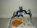 my_bionicle_005.jpg