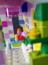 flower_shop_w015.jpg
