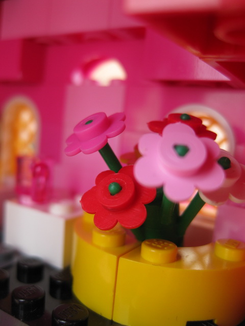 pink_house_020.jpg