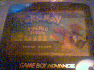 pkmnfirered.bmp