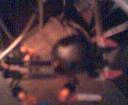 cap030309222719.jpg