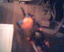cap030309222907.jpg