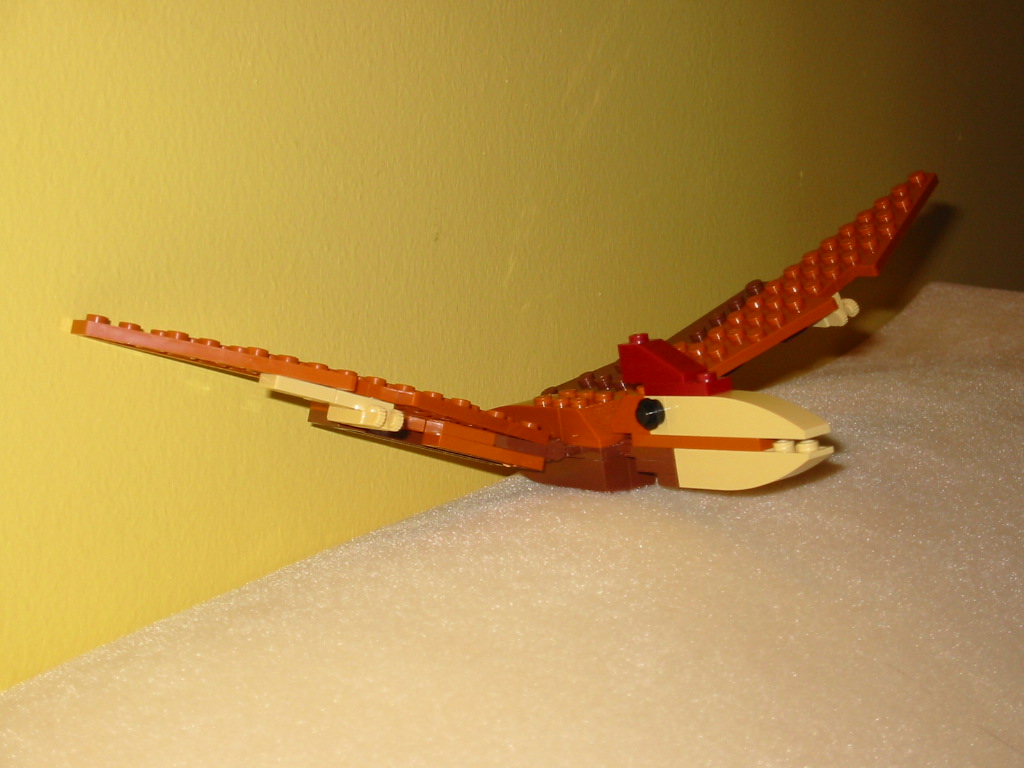 pteranodon1.jpg