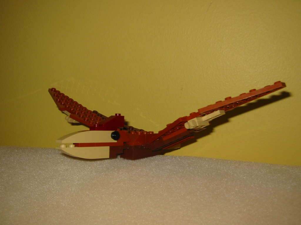 pteranodon2.jpg