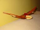 pteranodon1.jpg