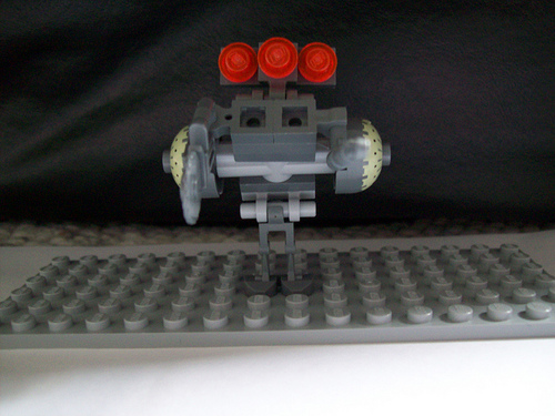100_0020.jpg