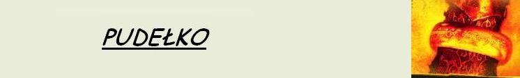 4_pudelko.jpg