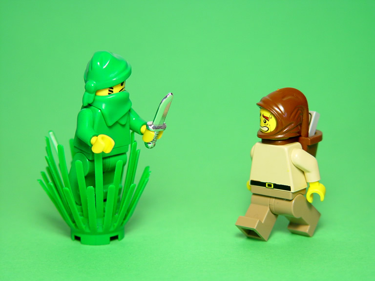 20_bush_robber.jpg