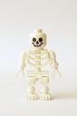 skeleton1.jpg