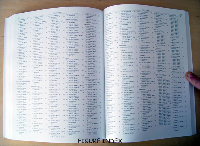 06.jpg
