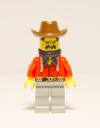 cowboys_02.jpg