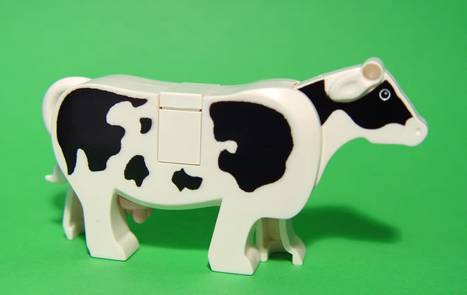 cow_02.jpg