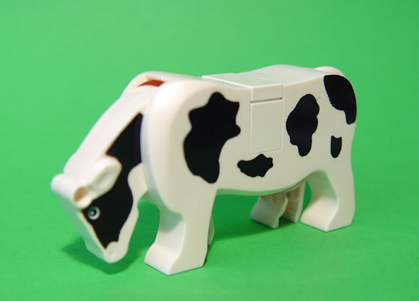 cow_03.jpg
