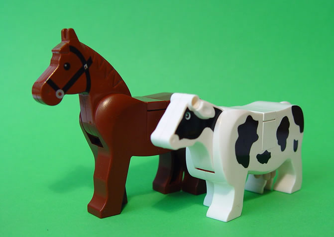 cow_05_scale.jpg
