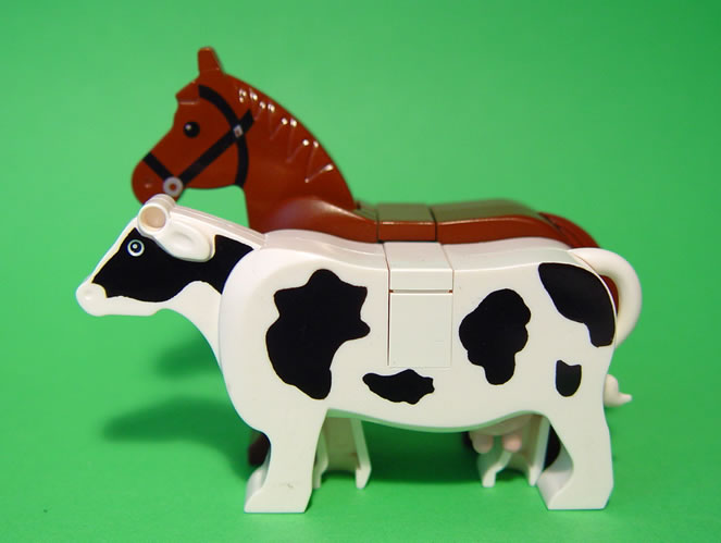 cow_06_scale.jpg