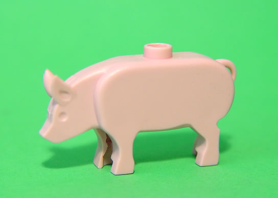 pig_01.jpg