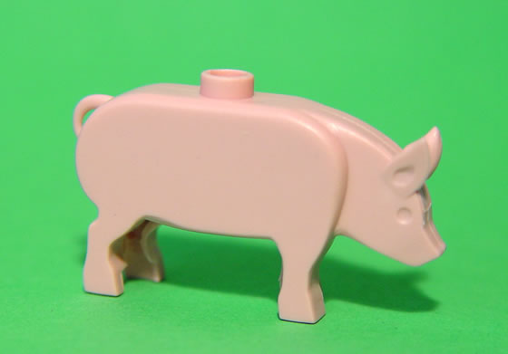 pig_02.jpg