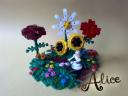 alice1.jpg