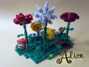 alice7.jpg