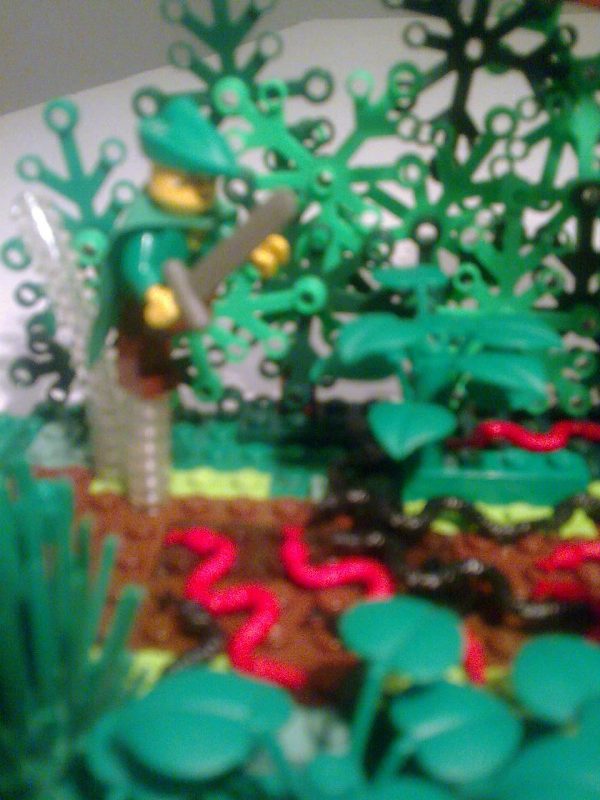 imagem016.jpg