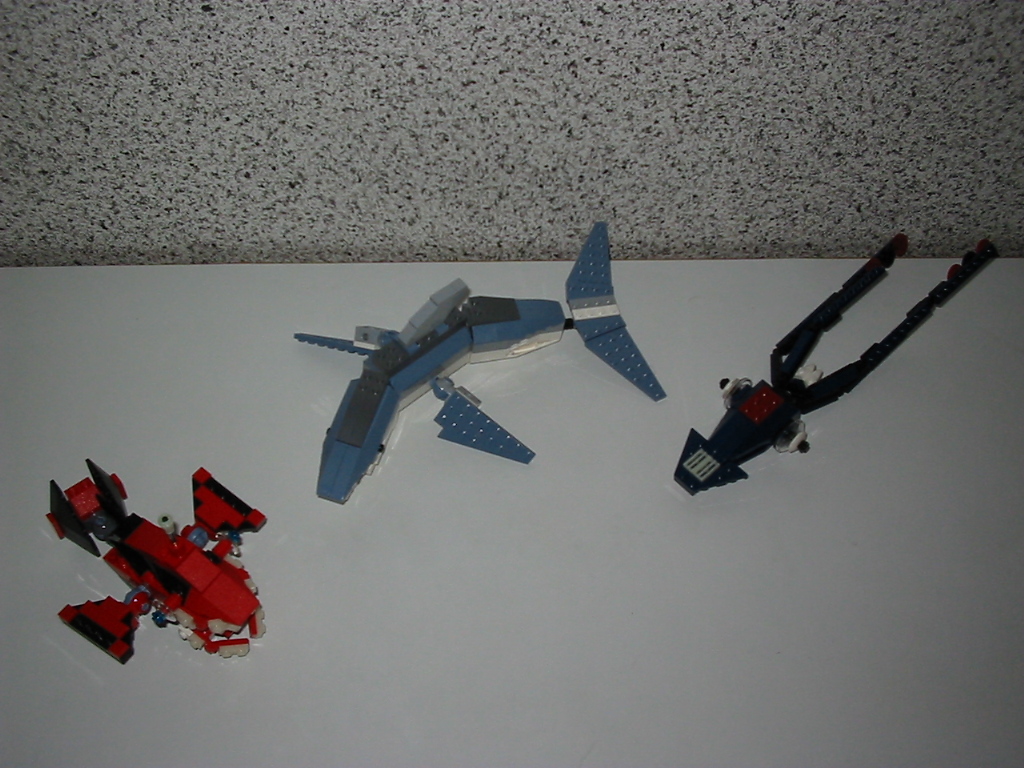 img_2333.jpg