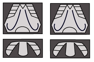 contest2.png