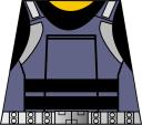 sam2.bmp