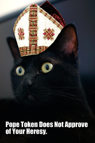pope_cat.jpg