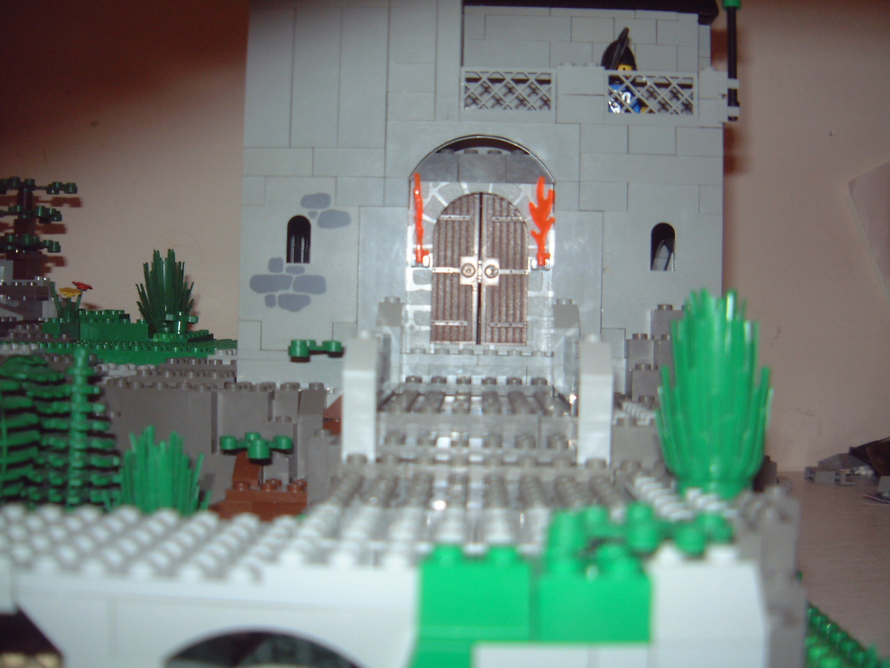 dscf0020.jpg