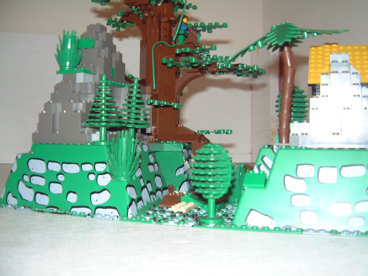 dscf0093.jpg