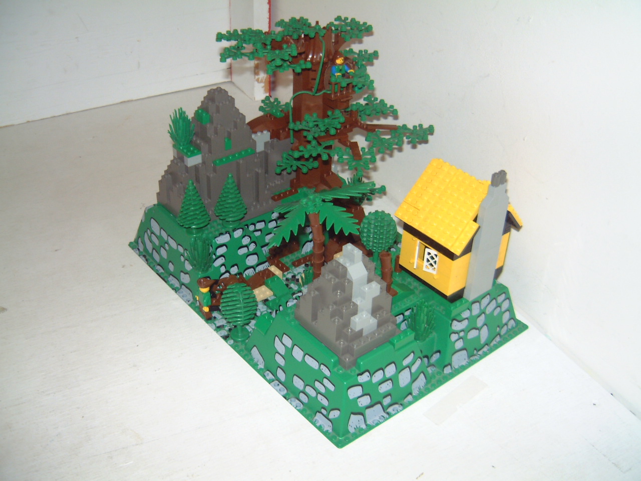 dscf0113.jpg