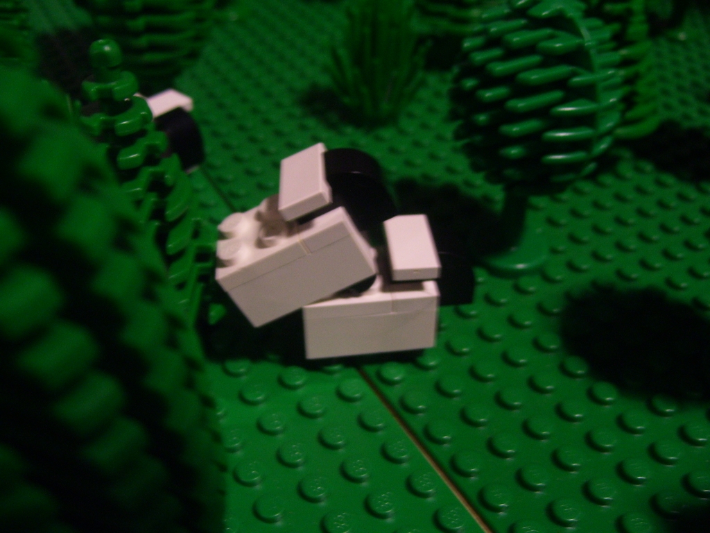 nelug-bcm-0011.jpg