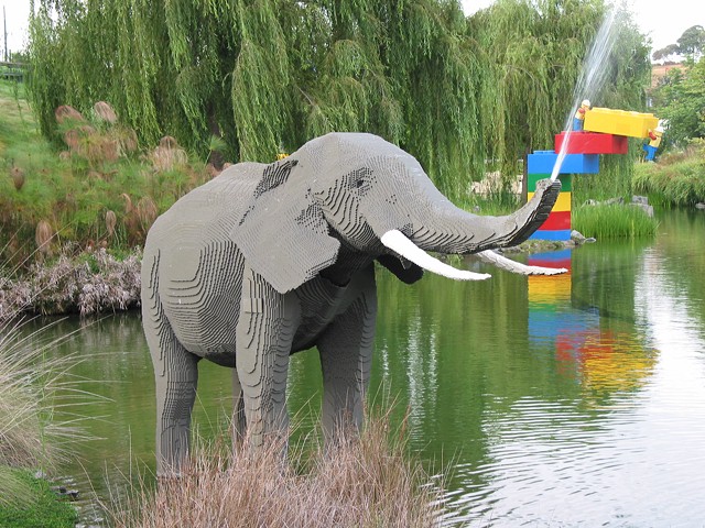 4384.jpg