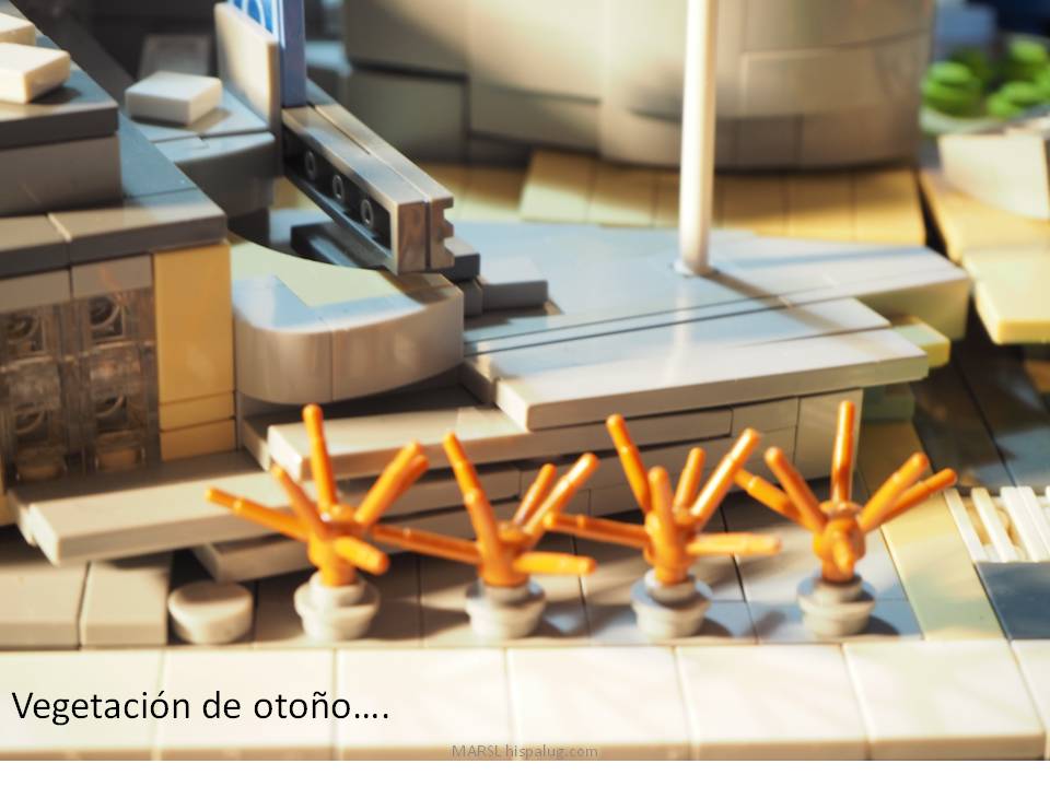 diapositiva34.jpg