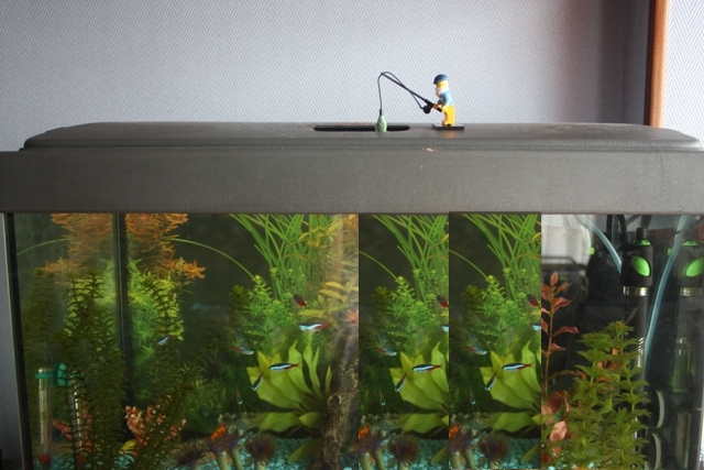 pescador-1.jpg