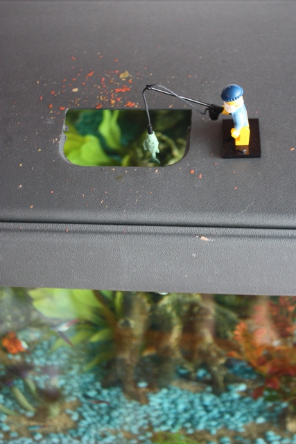 pescador-2.jpg